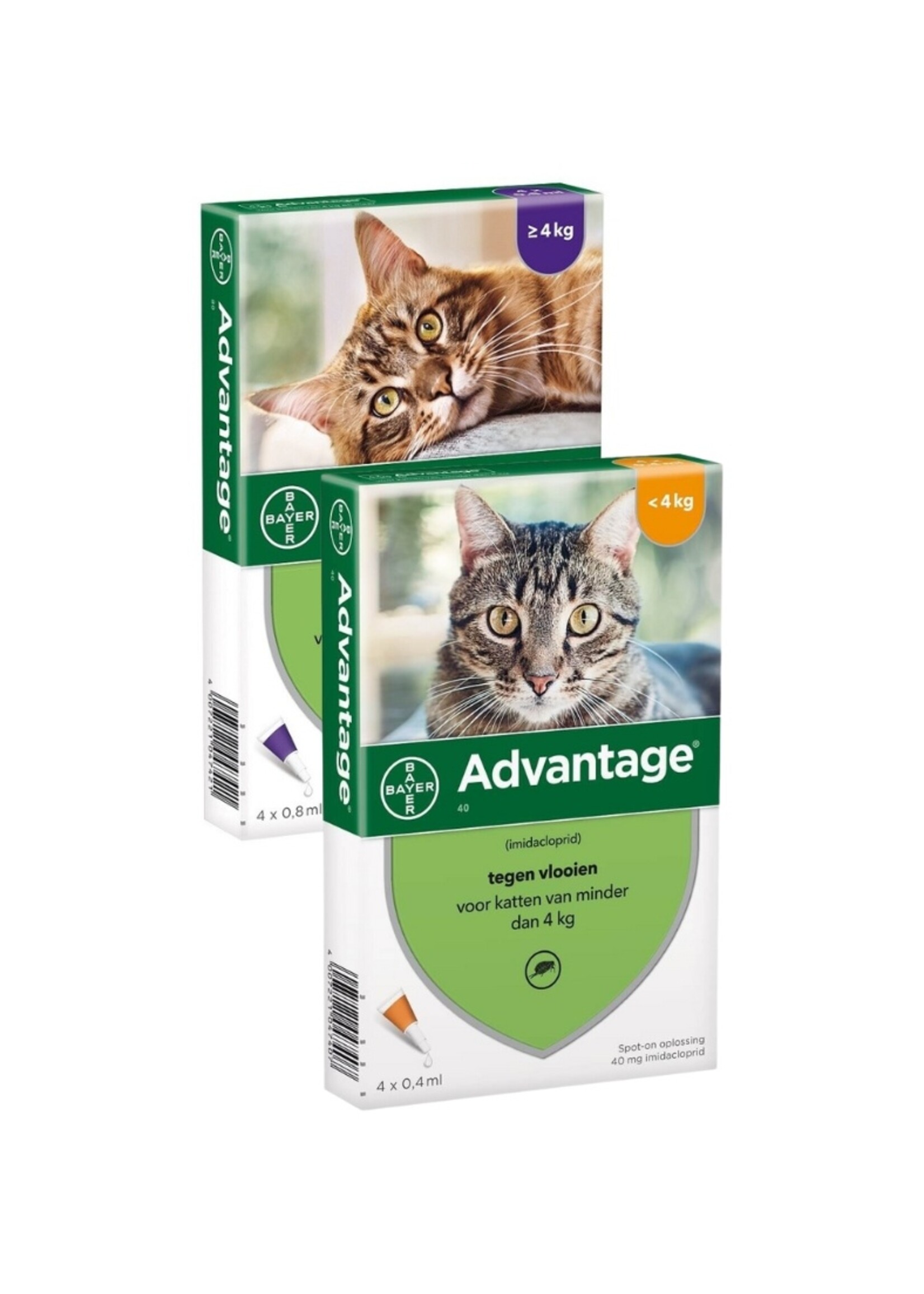 Advantage Advantage | Spot-on für Katzen gegen Flöhe