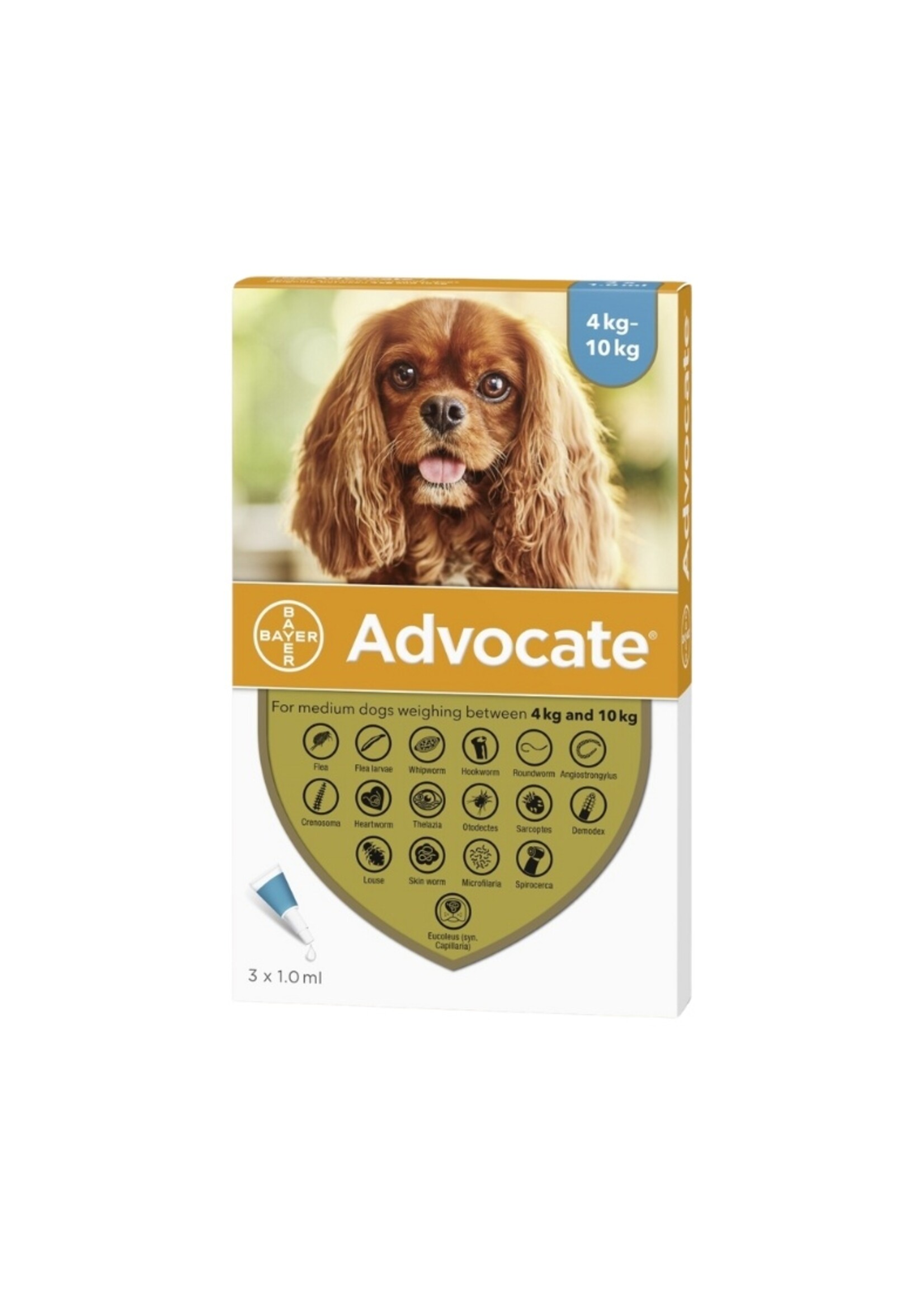 Advocate Hond | Spot-on tegen vlooien, luizen, mijten en wormen