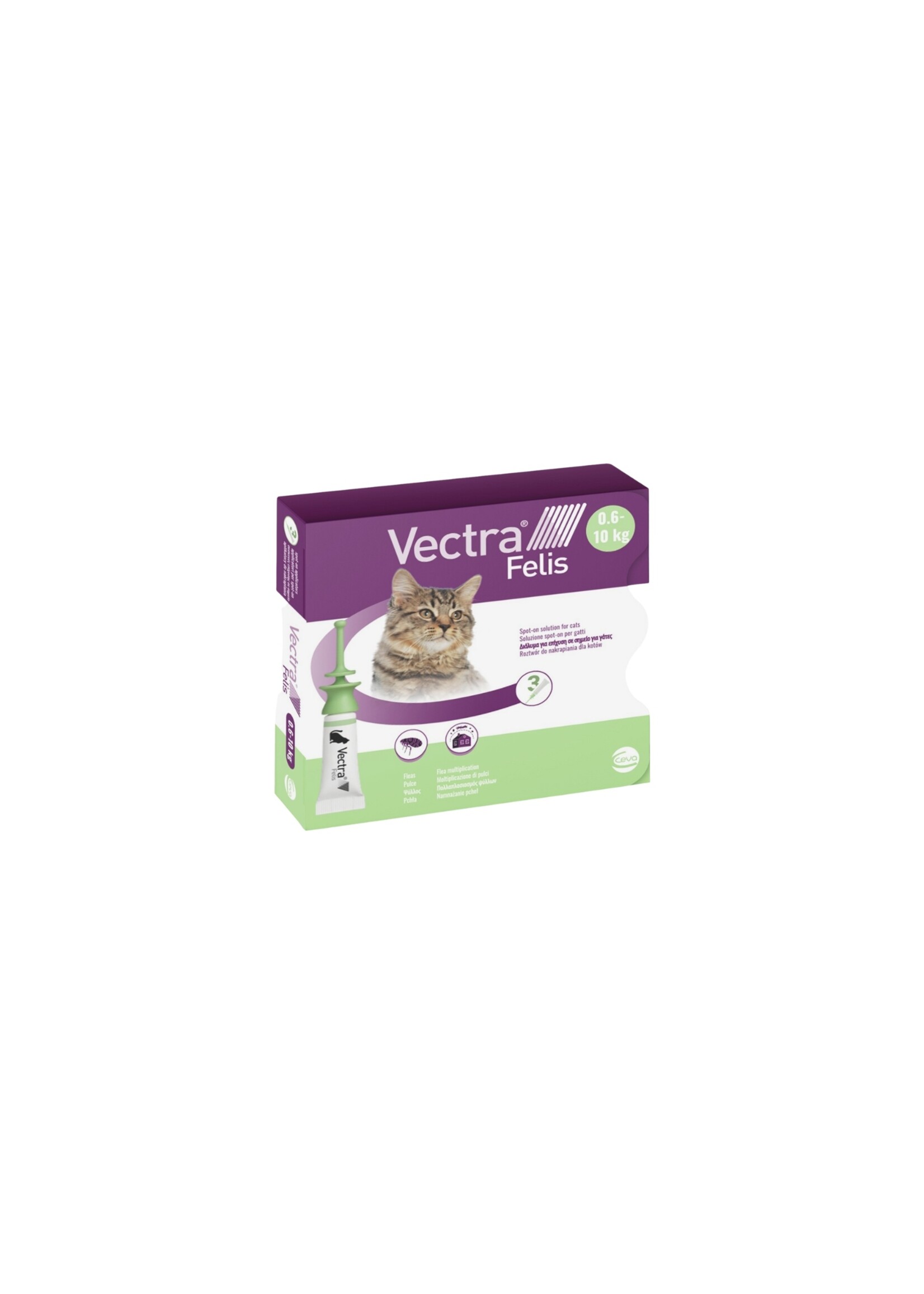 Vectra Felis | Spot-on oplossing voor katten