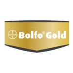 Bolfo