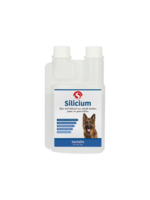 Sectolin Silicium | Hond