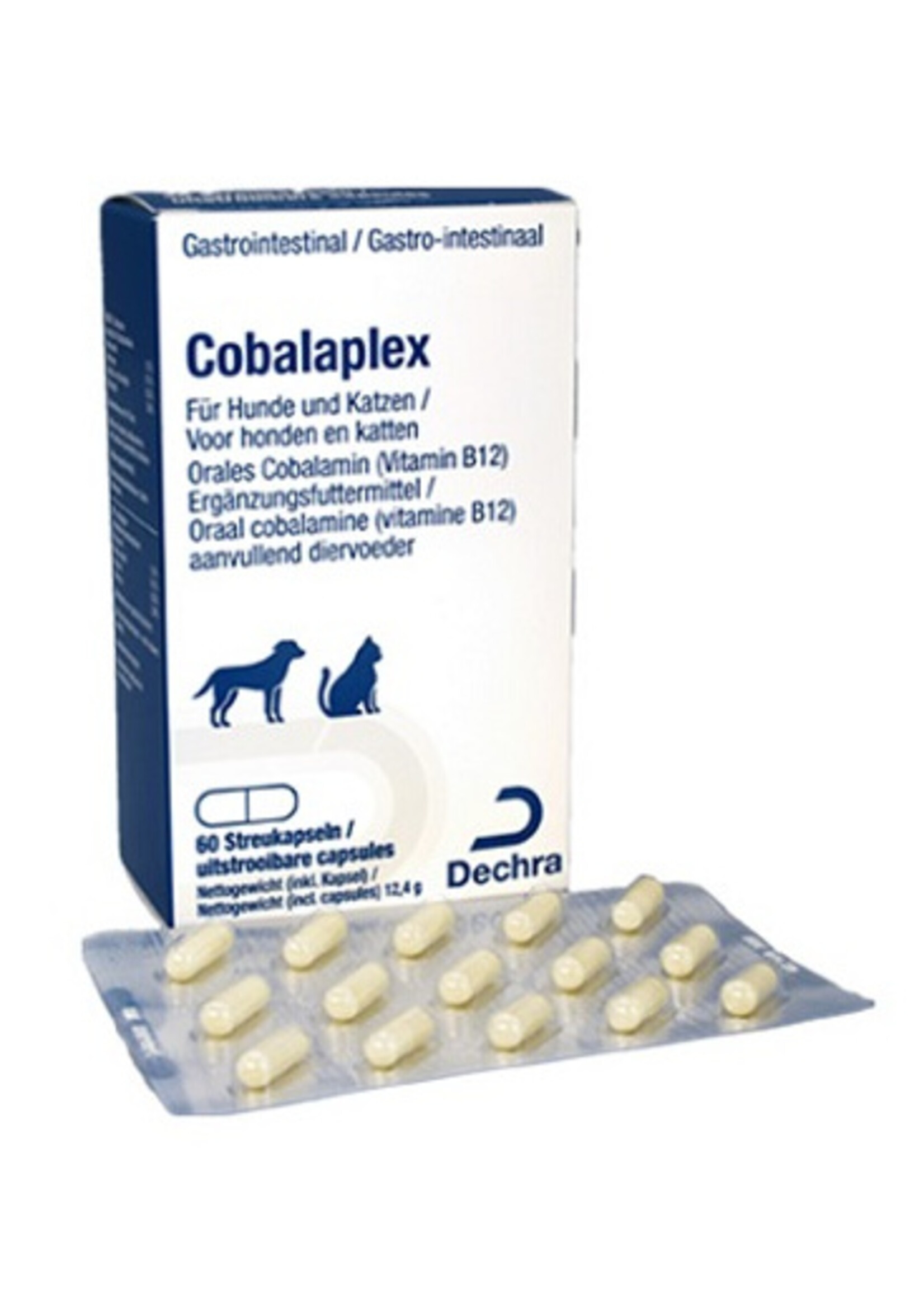 Protexin Cobalaplex B12 en Foliumzuur 60 stuks| Hond en Kat