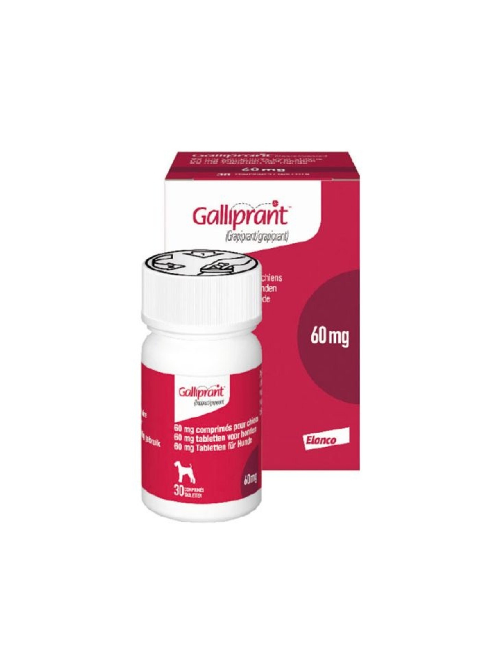 Galliprant Hond | Tabletten ter behandeling van pijn bij osteoartritis
