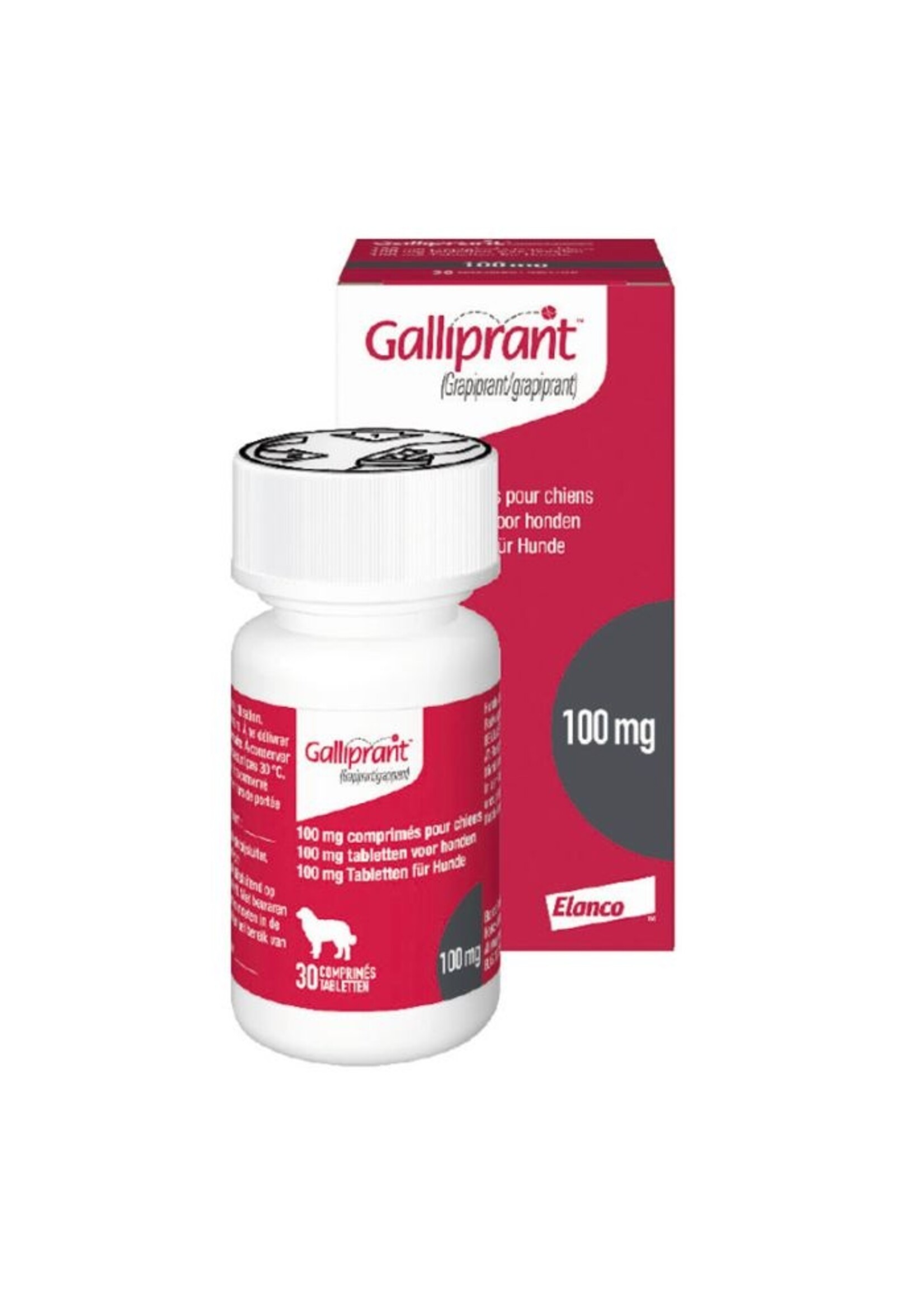 Galliprant Hund | Tabletten zur Behandlung von  Schmerzen bei Osteoarthritis
