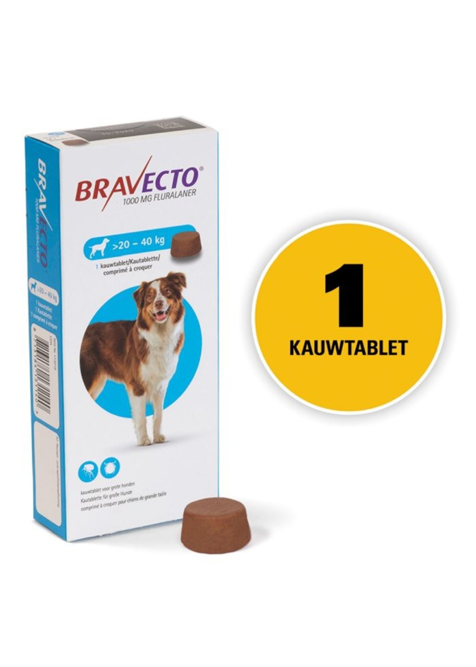 Bravecto Hund | Tabletten gegen Flöhe, Zecken und Milben