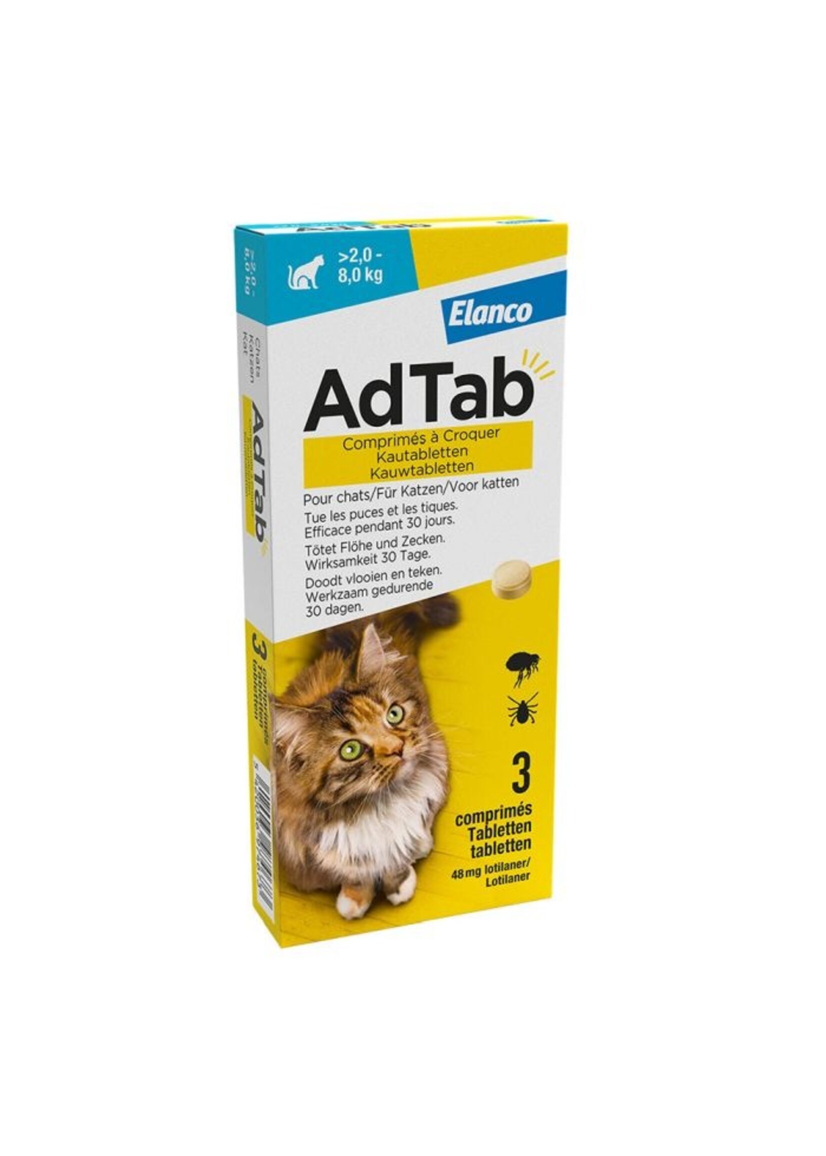 AdTab | Katze