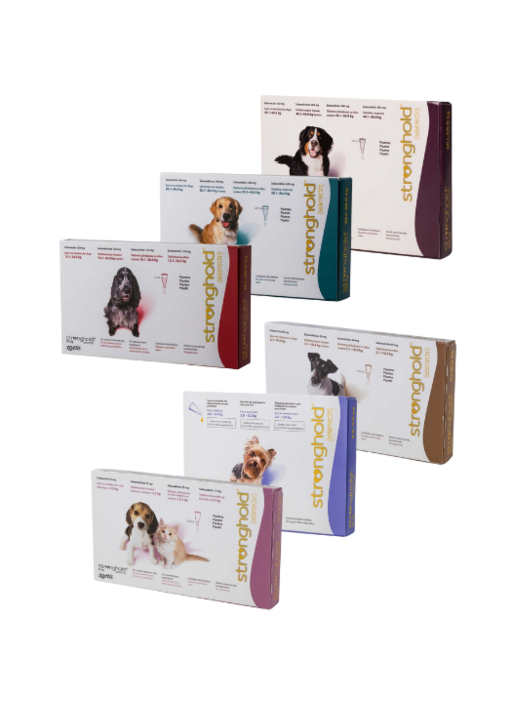 Stronghold Hond | Spot-on tegen vlooien, wormen, mijten en luizen  - Copy