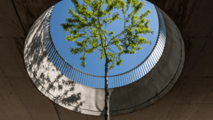 Met Casambi Smart Lighting op weg naar een circulaire economie Met Casambi Smart Lighting op weg naar een circulaire economie