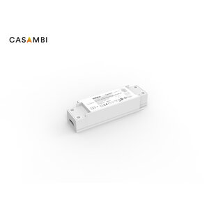 Irises G3 Vlinca Casambi driver, VLD 24W 450/500/550/600mA