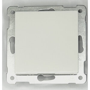 UNI-BESWI-P-CAS:  Inbouwrelais met drukknop, max.10A, Systeem 55