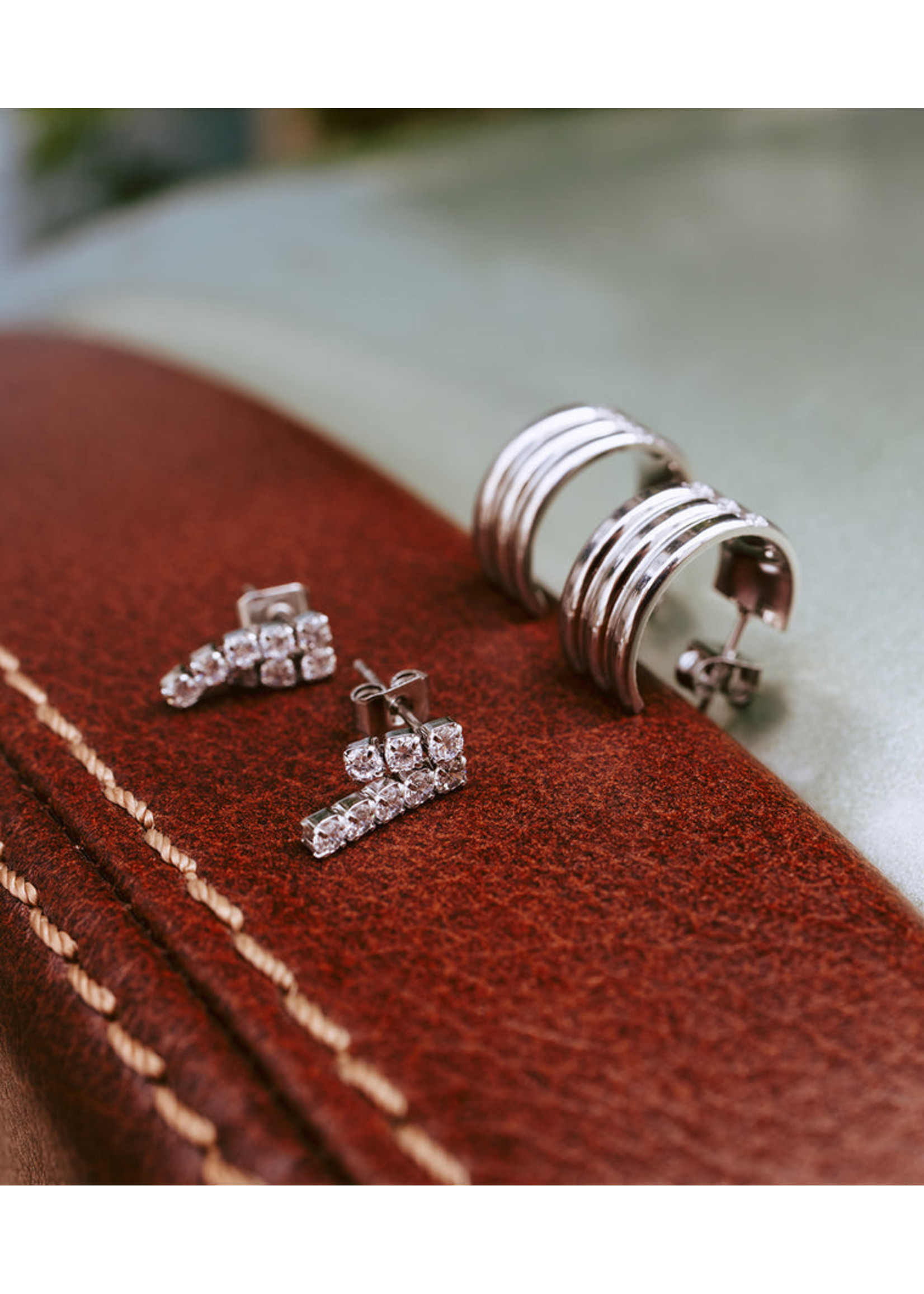 ZAG Bijoux Damas Earrings - Silver