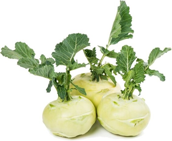 Botmas Botmas Biologische witte koolrabi
