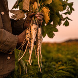 Botmas Biologische Pastinaak - Vers Botmas Biologische Pastinaak - Vers