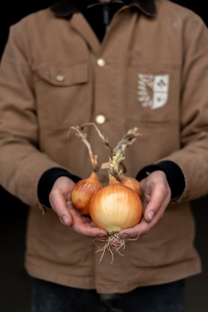 Botmas Botmas Biologische Gele Ui - Vers