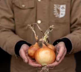 Botmas Biologische Gele Ui - Vers