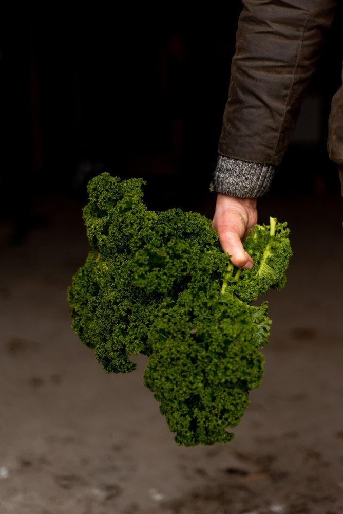 Botmas Biologische Boerenkool - RTU