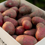 Botmas Biologische Aardappel - Vers