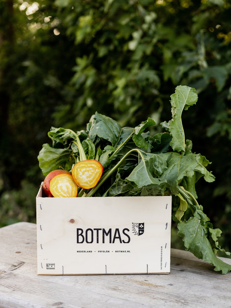 Botmas Biologische Gele Biet - RTU Botmas Biologische Gele Biet - RTU