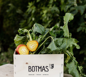 Botmas Biologische Gele Biet - RTU Botmas Biologische Gele Biet - RTU