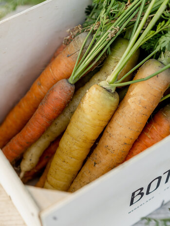 Botmas Biologische Regenboogpeen - Vers