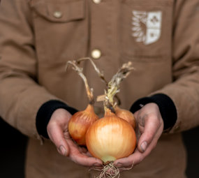Botmas Biologische uien - RTU