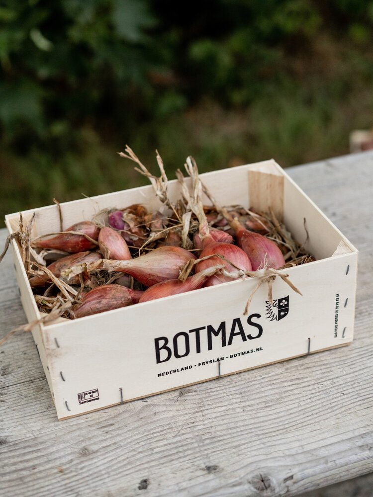 Botmas Botmas Biologische Sjalotten - Vers