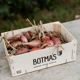 Botmas Biologische Sjalotten - Vers