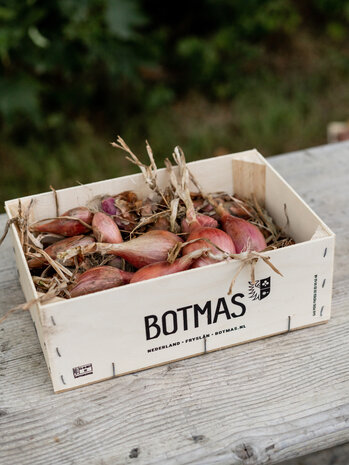 Botmas Botmas Biologische Sjalotten - Vers