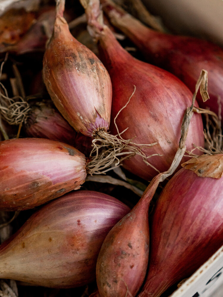 Botmas Botmas Biologische Sjalotten - Vers