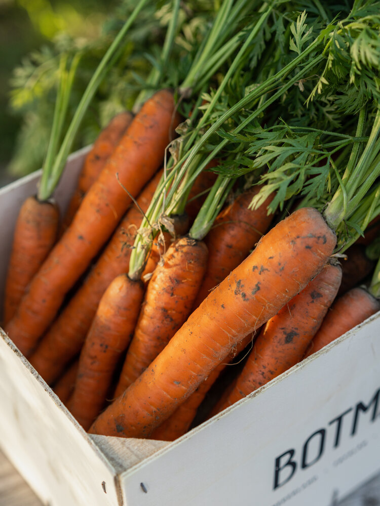 Botmas Botmas Biologische Wortel - Vers