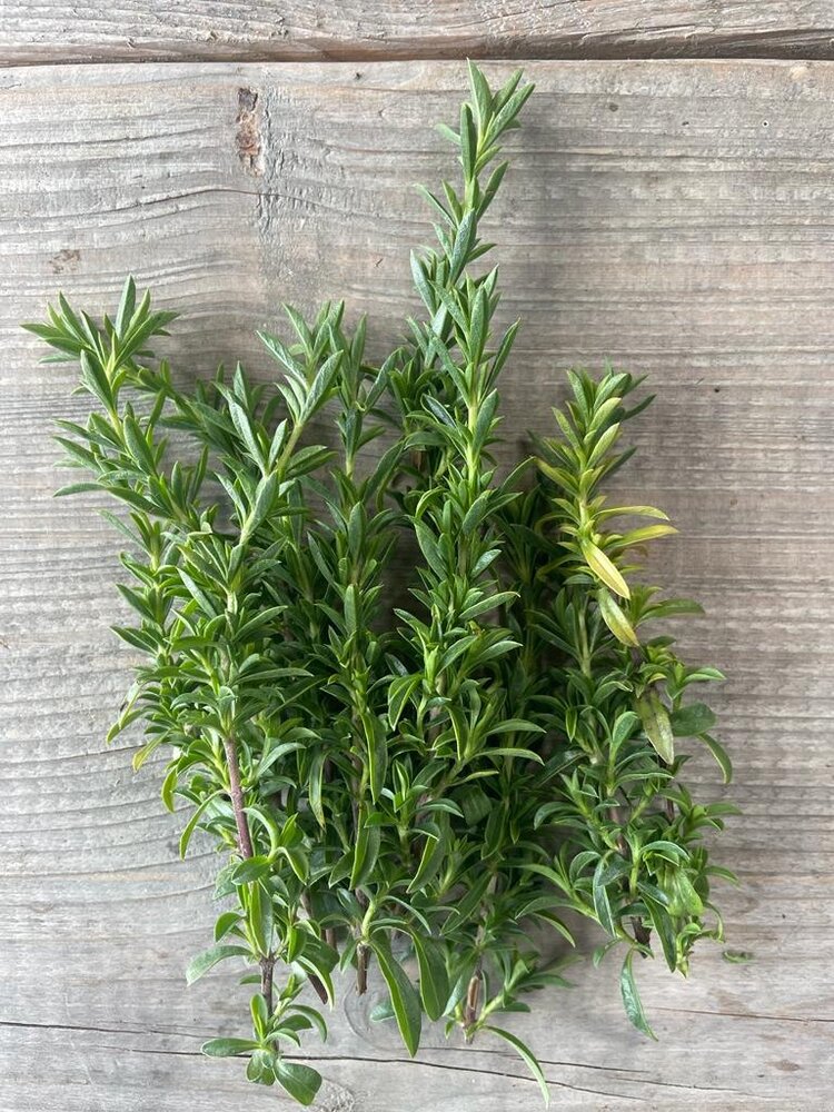 Botmas Biologische Tijm - Vers Botmas Biologische Tijm - Vers