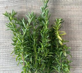 Botmas Biologische Tijm - Vers Botmas Biologische Tijm - Vers