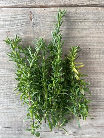 Botmas Biologische Tijm - Vers Botmas Biologische Tijm - Vers