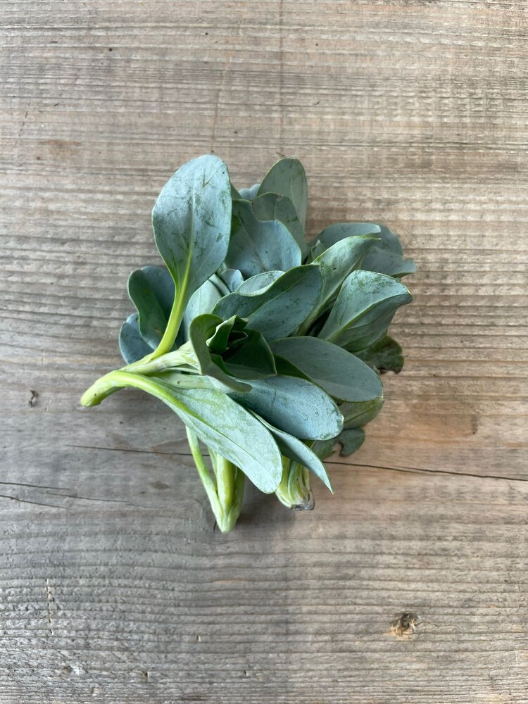 Botmas Biologisch Oesterblad Vers Botmas Biologisch Oesterblad Vers