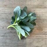 Botmas Biologisch Oesterblad Vers Botmas Biologisch Oesterblad Vers