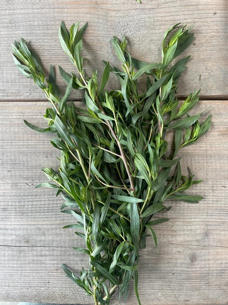 Botmas Botmas Biologische Verse Franse Dragon Botmas Botmas Biologische Verse Franse Dragon