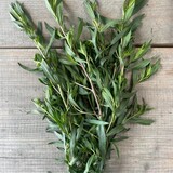 Botmas Biologische Verse Franse Dragon Botmas Biologische Verse Franse Dragon