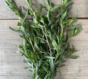 Botmas Biologische Verse Franse Dragon