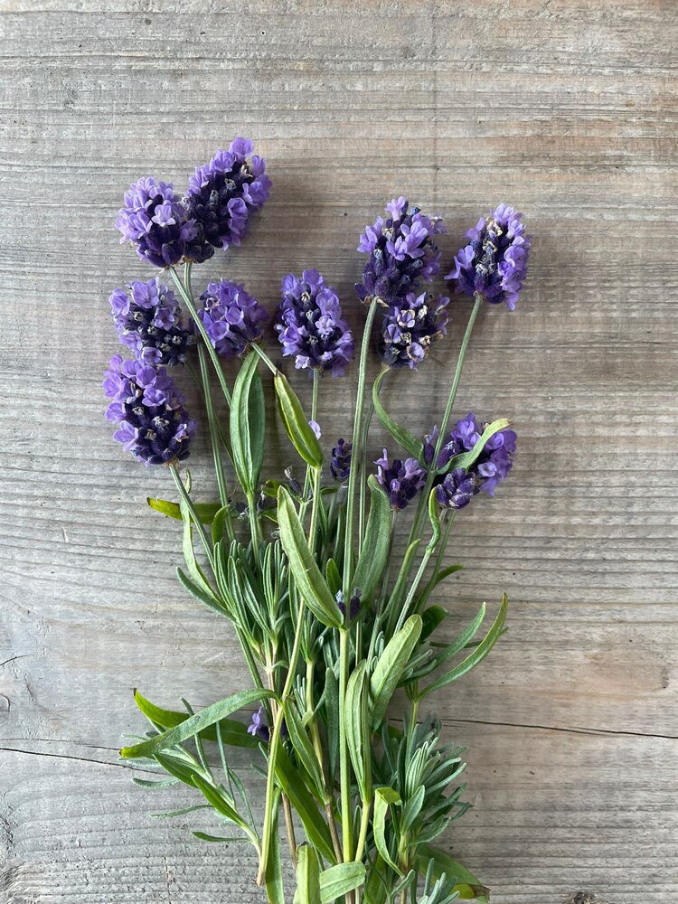 Botmas Biologische Verse Lavendel Botmas Biologische Verse Lavendel