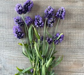 Botmas Biologische Verse Lavendel Botmas Biologische Verse Lavendel