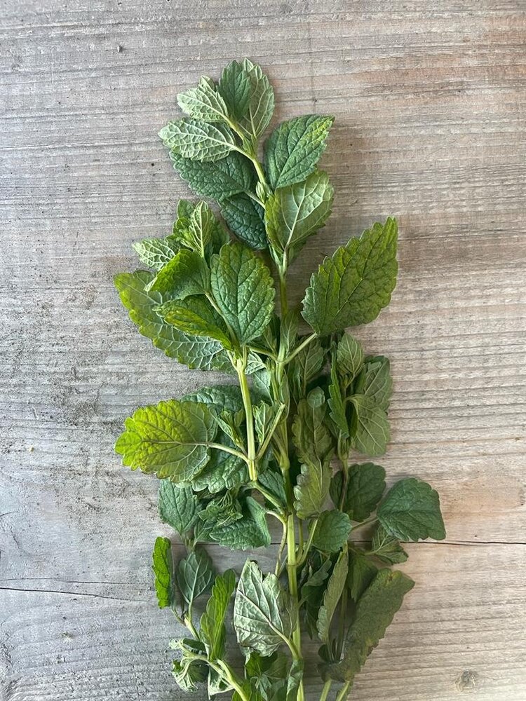 Botmas Biologische Verse Citroenmelisse Botmas Biologische Verse Citroenmelisse