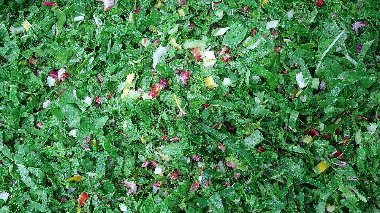 Botmas Biologische Snijbiet - RTU