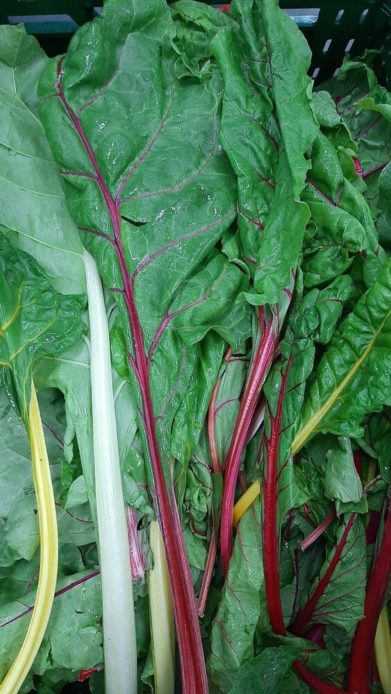 Botmas Biologische Snijbiet - RTU