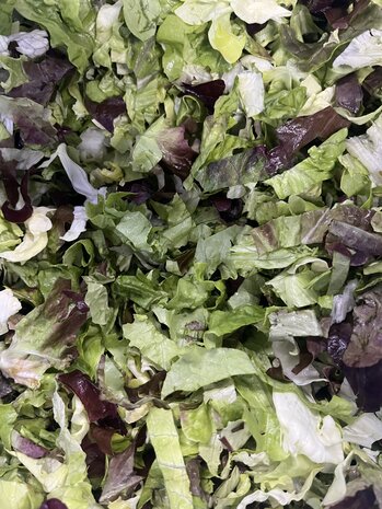 Botmas Bio Sla (mix) -  Grof RTU