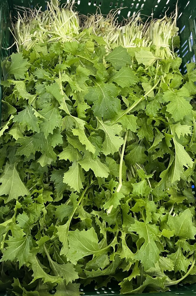 Botmas Biologische Raapsteel - RTU