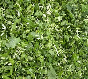 Botmas Biologische Raapsteel - RTU