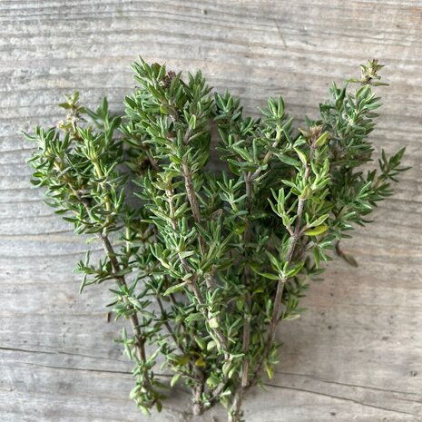 Botmas Biologische Tijm - Vers Botmas Biologische Tijm - Vers