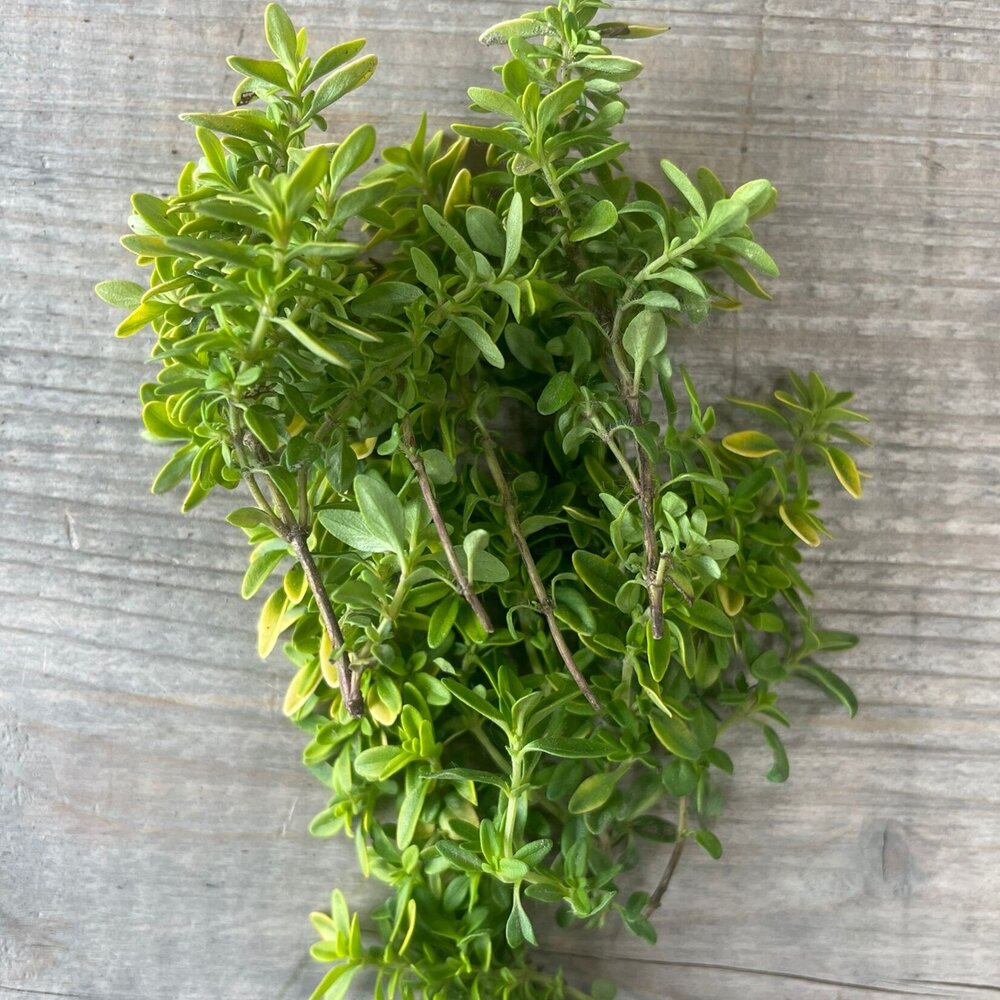 Botmas Biologische Tijm - Vers Botmas Biologische Tijm - Vers