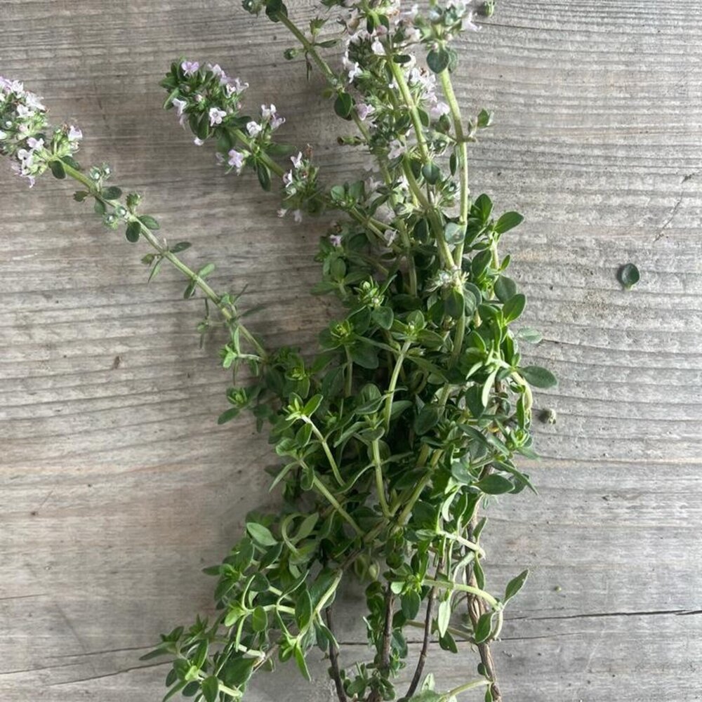 Botmas Biologische Tijm - Vers Botmas Biologische Tijm - Vers