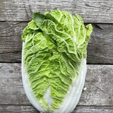 Botmas Biologische Chinese Kool - RTU